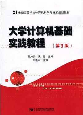 大学计算机基础实践教程 pdf epub mobi 电子书 下载