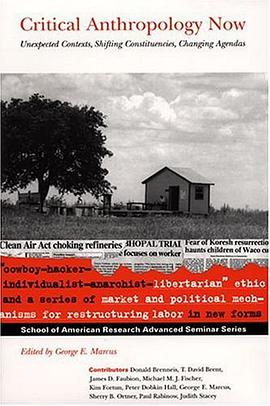 Critical Anthropology Now pdf epub mobi 下载