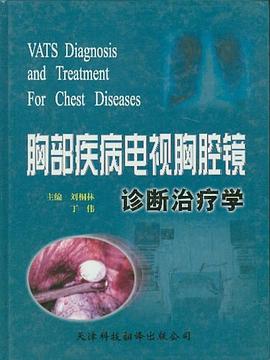胸部疾病电视胸腔镜诊断治疗学 pdf epub mobi 电子书 下载