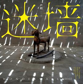 迷墙 pdf epub mobi 电子书 下载