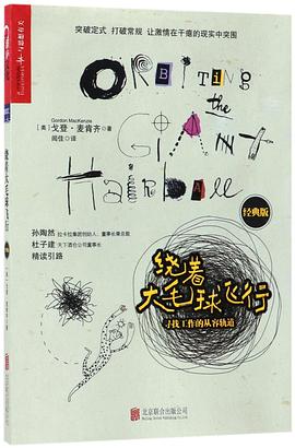 绕着大毛球飞行(寻找工作的从容轨道经典版) pdf epub mobi 电子书 下载