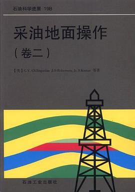 石油科学进展·采油地面操作2 pdf epub mobi 电子书 下载