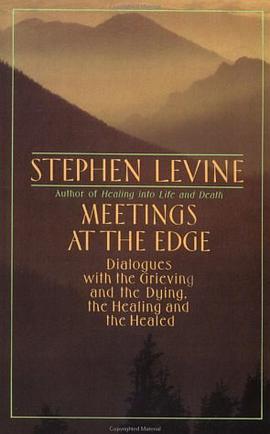 Meetings at the Edge pdf epub mobi 電子書 下載