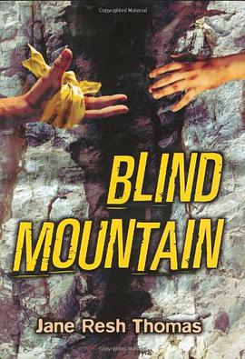 Blind Mountain pdf epub mobi 电子书 下载