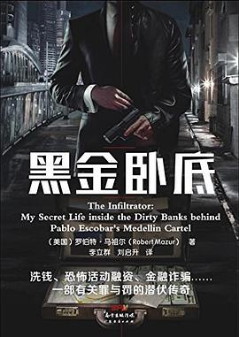 黑金卧底—走进银行洗钱案的幕后 pdf epub mobi 电子书 下载