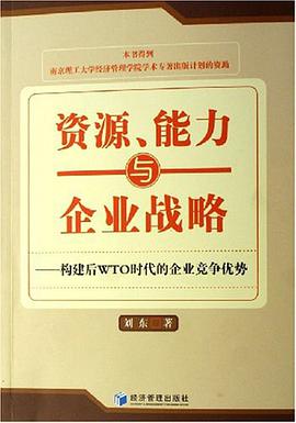 资源、能力与企业战略 pdf epub mobi 电子书 下载