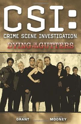 CSI pdf epub mobi 电子书 下载