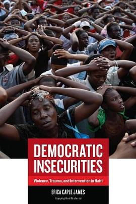 Democratic Insecurities pdf epub mobi 电子书 下载
