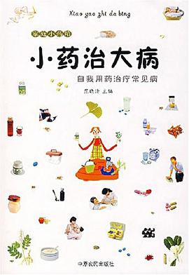 小药治大病 pdf epub mobi 电子书 下载