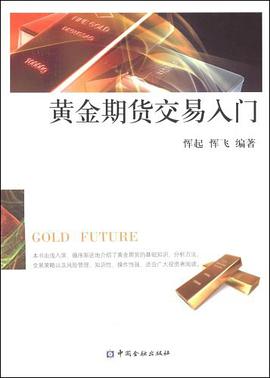 黄金期货交易入门 pdf epub mobi 电子书 下载