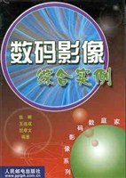 数码影像综合实例 pdf epub mobi 电子书 下载