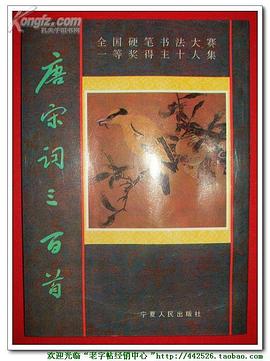 唐宋词三百首——全国硬笔书法大赛一等奖得主十人集