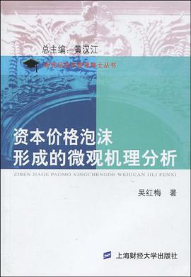 资本价格泡沫形成的微观机理分析 pdf epub mobi 电子书 下载