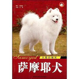天使的微笑