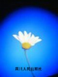 生存与毁灭 pdf epub mobi 电子书 下载