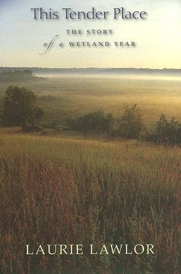 This Tender Place pdf epub mobi 下载