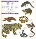 彩图动物百科 pdf epub mobi 电子书 下载