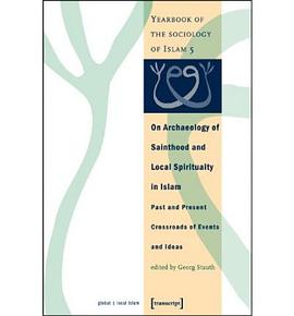 On Archaeology of Sainthood and Local Spirituality in Islam pdf epub mobi 下载
