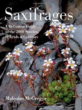 Saxifrages pdf epub mobi 电子书 下载