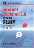 Internet Explorer 5.0 中文版实战指南 pdf epub mobi 下载