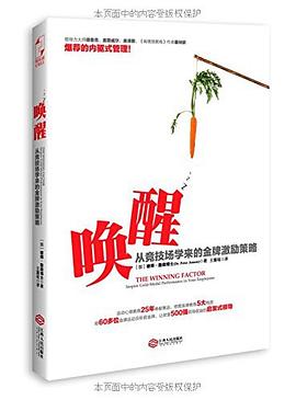 唤醒 pdf epub mobi 电子书 下载