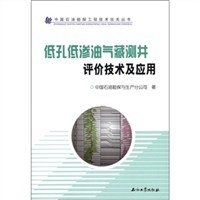 低孔低渗油气藏测井评价技术及应用/中国石油勘探工程技术攻关丛书 pdf epub mobi 电子书 下载