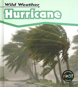 Hurricane pdf epub mobi 电子书 下载