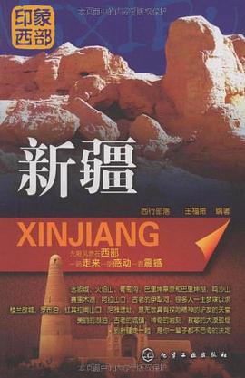 新疆 pdf epub mobi 电子书 下载