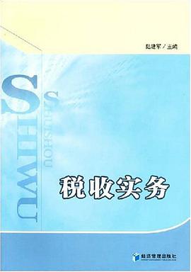 税收实务 pdf epub mobi 电子书 下载