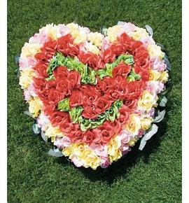 Happy Together pdf epub mobi 电子书 下载