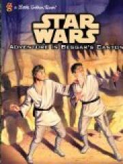 Adventure in Beggars Canyon Star Wars pdf epub mobi 电子书 下载