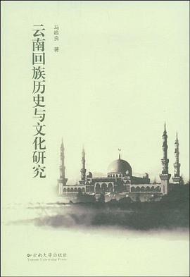 云南回族历史与文化研究 pdf epub mobi 电子书 下载