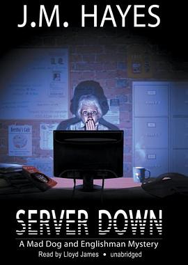 Server Down pdf epub mobi 电子书 下载
