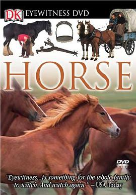 Eyewitness DVD pdf epub mobi 电子书 下载