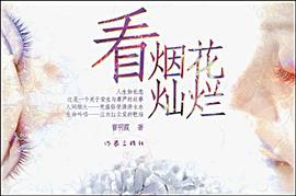 看烟花灿烂 pdf epub mobi 电子书 下载