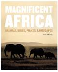 Magnificent Africa pdf epub mobi 电子书 下载