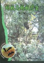 蚂蚁与蚂蚁疗法(第2版) pdf epub mobi 电子书 下载