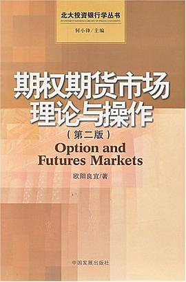 期权期货市场理论与操作/北大投资银行学丛书 pdf epub mobi 电子书 下载