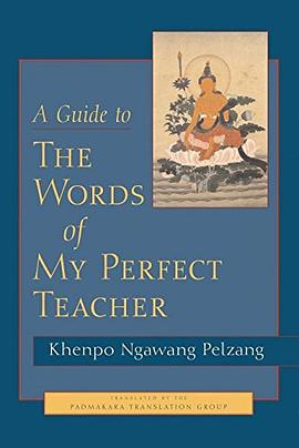 A Guide to the Words of My Perfect Teacher pdf epub mobi 電子書 下載
