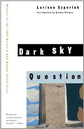 Dark Sky Question pdf epub mobi 電子書 下載