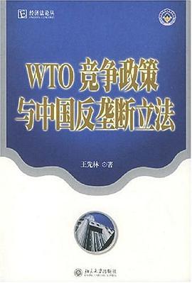 WTO竞争政策与中国反垄断立法 pdf epub mobi 电子书 下载