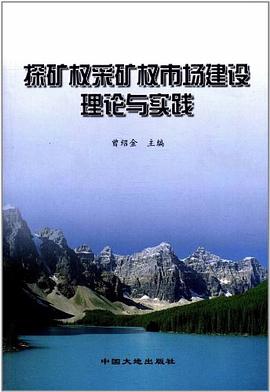 探矿权采矿权市场建设理论与实践