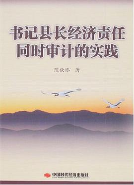 书记县长经济责任同时审计的实践