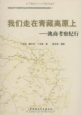 我们走在青藏高原上 pdf epub mobi 电子书 下载