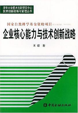 企业核心能力与技术创新战略 pdf epub mobi 电子书 下载