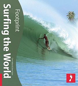Surfing the World pdf epub mobi 电子书 下载