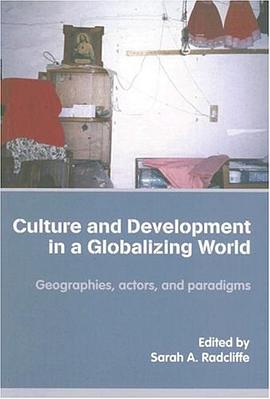 Culture and Development in a Globalizing World pdf epub mobi 電子書 下載