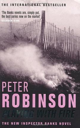 PETER ROBINSON PLAYING WITH FIRE pdf epub mobi 下载