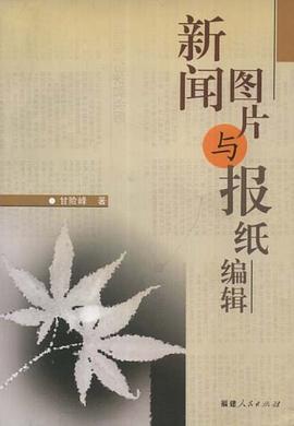 新闻图片与报纸编辑 pdf epub mobi 下载
