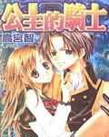 公主的骑士 pdf epub mobi 电子书 下载
